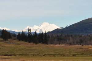 View of Mount Baker in Big Lake Washington